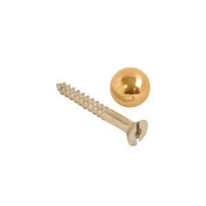CORE-BULK Mirror Screw and Dome Polished Brass 8x1.1/2