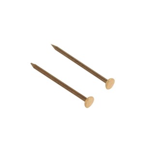 CORE-BULK Picture Pin Brass Head 25mm