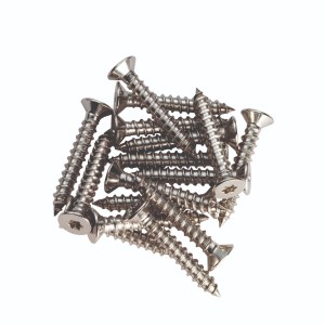 CARLISLE BRASSĀ® Hinge Metal Pack (16) M6 x 10mm Small Head PZ2