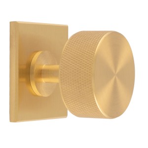 CARLISLE BRASSĀ® Knurled Radio Knob on Backplate - Satin Brass