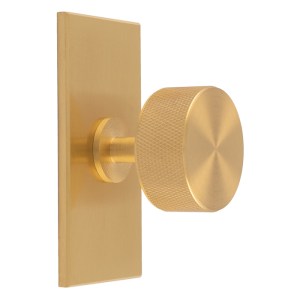 CARLISLE BRASSĀ® Knurled Radio Knob on Backplate - Satin Brass