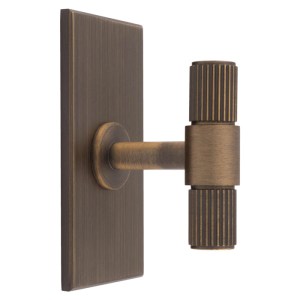 CARLISLE BRASSĀ® Lines T-Bar Knob on Backplate - Antique Brass