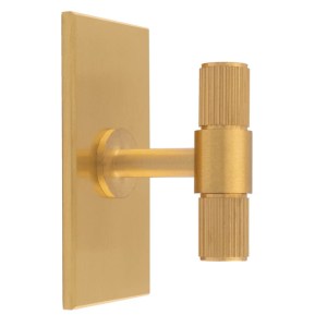 CARLISLE BRASSĀ® Lines T-Bar Knob on Backplate - Satin Brass