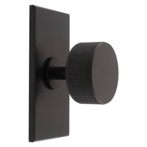 CARLISLE BRASSĀ® Lines Radio Knob on Backplate - Black