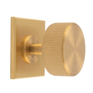 CARLISLE BRASSĀ® Lines Radio Knob on Backplate - Satin Brass