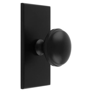 CARLISLE BRASSĀ® Warwick Cupboard Knob on Backplate - Black
