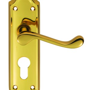CARLISLE BRASSĀ® Ashtead Lever on Euro Lock Backplate - Polished Brass - 168mm x 48mm - 47.5mm c/c