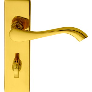 CARLISLE BRASSĀ® Andros Lever on WC Backplate - Polished Brass - 180mm x 40mm - 57mm c/c