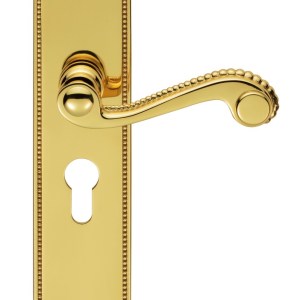CARLISLE BRASSĀ® Chesham Lever on Euro Lock Long Backplate - Polished Brass - 248mm x 48mm - 47.5mm c/c