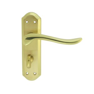 CARLISLE BRASSĀ® Lytham Lever on WC backplate - Satin Brass/Polished Brass - 180mm x 48mm - 57mm c/c