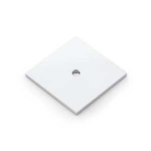 ALEXANDER & WILKSĀ® bullion square backplate polished chrome