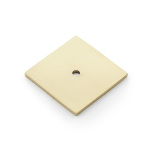 ALEXANDER & WILKSĀ® bullion square backplate satin brass pvd