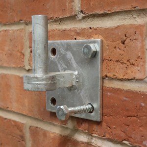 TIMCO Coach Screw & Nylon Plugs Zinc - 6.0 x 60