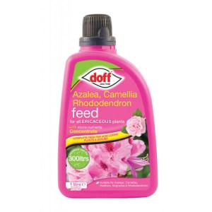 Andersons® Azalea, Camellia & Rhododendron Feed, 1 Litre