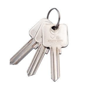 VIER CYLINDERS 5 Pin Square Key Blanks Satin Stainless