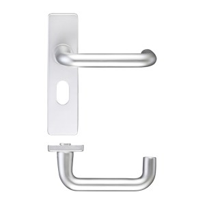 ZOO DOOR HARDWARE Return to Door Lever on Oval Profile Backplate (48.5MM) Satin Aluminium