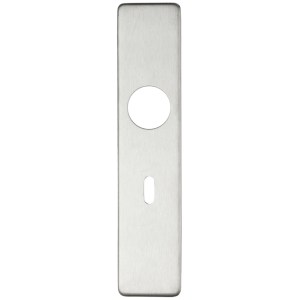 ZOO DOOR HARDWARE Cover plate for 19 mm and 22mm RTD Lever on Backplate - Lock 57mm Satin Stainless